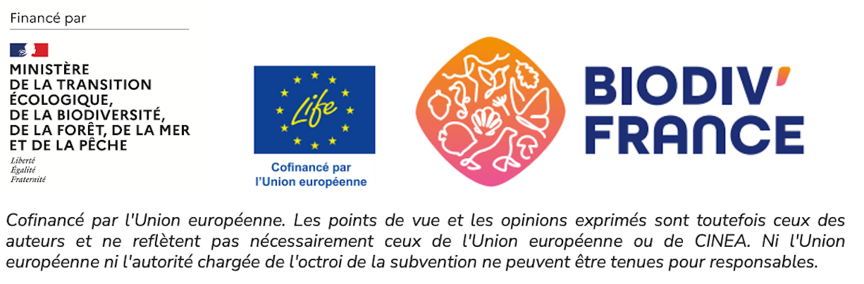 Logo Life MTE
